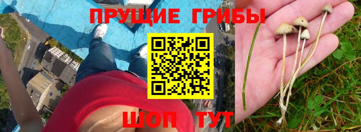 Псилоцибиновые грибы ЛСД  Псилоцибиновые грибы Magic Shrooms  Ростов Великий  Вход с VPN 